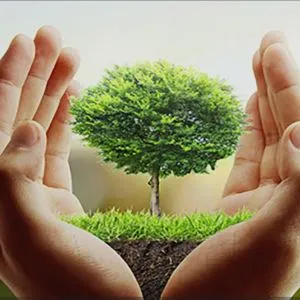 کمیته عمران،خدمات محلی و محیط زیست کلان شهر تهران